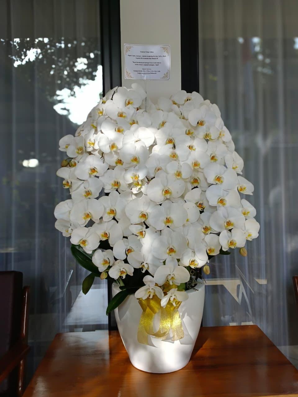 Rangkaian bunga vas anggrek bulan putih phalaenopsis premium selamat ulang tahun Bapak Andry Andriady Kepala Pusat Konsultasi Hukum RI